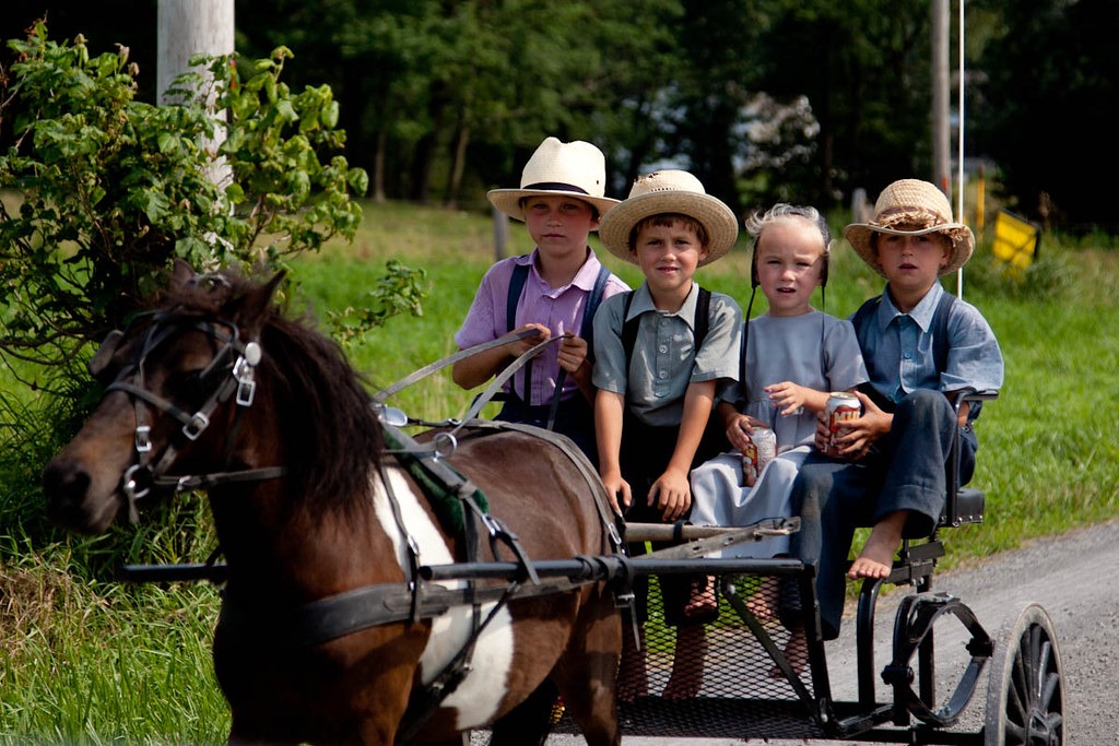 Headwaters RV Park near Mansfield Missouri Bakers Creek Heirloom Seed Amish Country