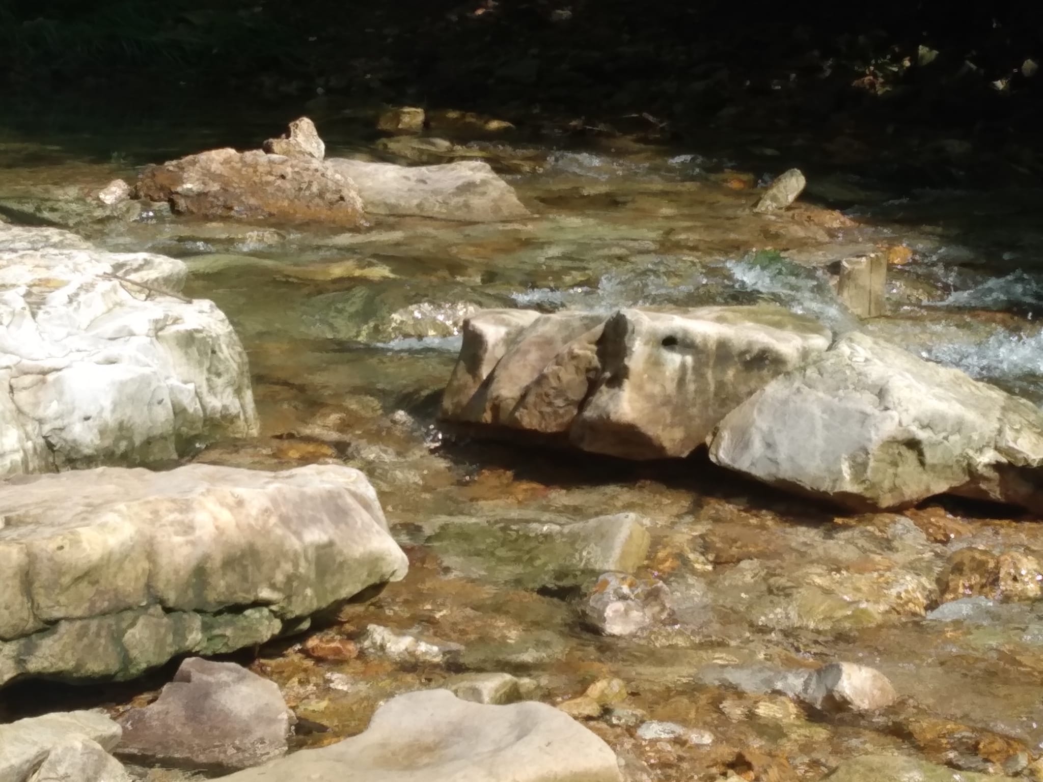 Quiet Overnight Camping RV Park Mansfield Missouri