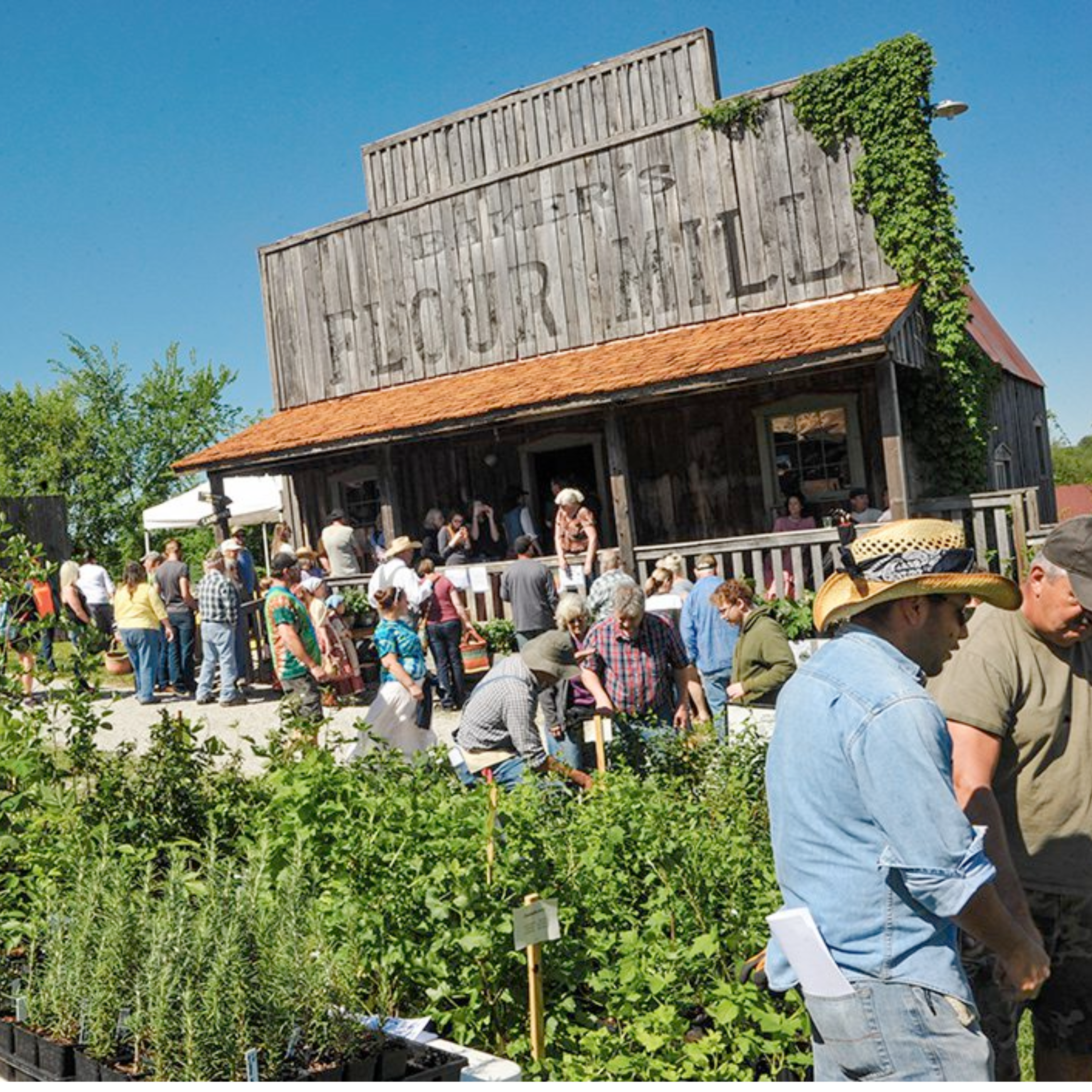 Relaxing Headwaters RV Park Near Baker's Creek Seed Festival Rare Seeds